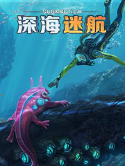 香港童装便宜吗